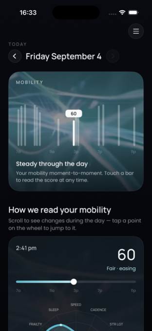 Time screen: mobility moment to moment through the day